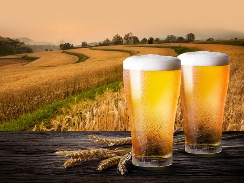 brewery equipment for sale,brewery equipments